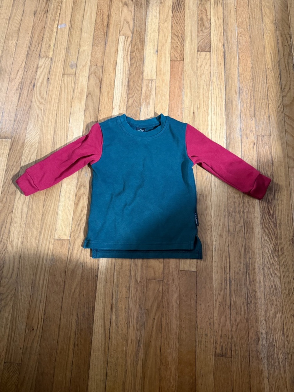 Trilogy 18/24 colorblock holiday top